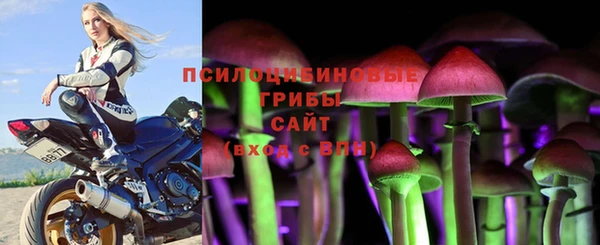 мдпв Ростов