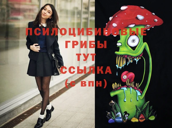 мдпв Ростов