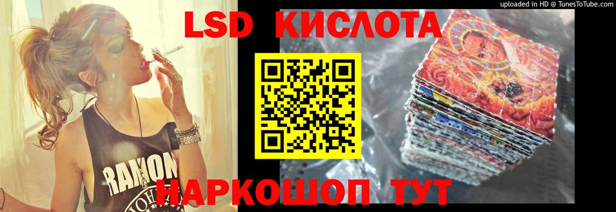 МЕФ Благодарный