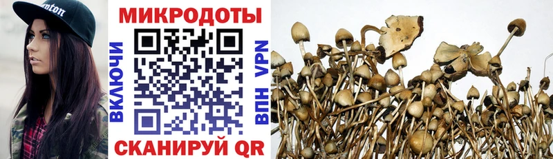 Псилоцибиновые грибы ЛСД Благодарный