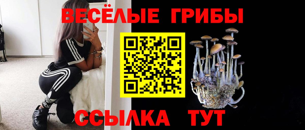 Псилоцибиновые грибы MAGIC MUSHROOMS  Вход с VPN  Благодарный 