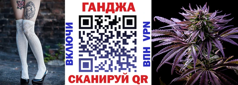 Конопля VHQ  где продают наркотики  Благодарный 